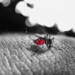 Missão e saúde: o que a igreja pode fazer no combate à dengue? | Por: Ma. Marta Cleonice
